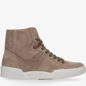 S-Brooke 8-l
