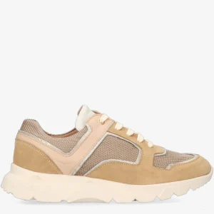 S-Kate 11-l