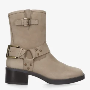 S-Michelle 503-c